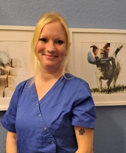 susan Friedrich